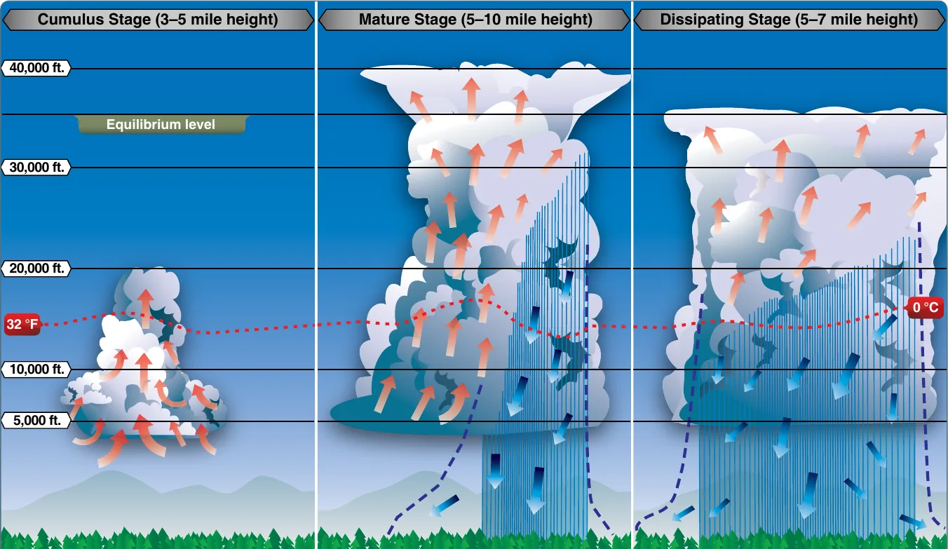 The three stages of a thunderstorm. Cumulus stage (3 to 5 miles tall): strong updrafts build the cloud. Mature stage (5 to 10 miles): updrafts and downdrafts coexist with heavy precipitation and the greatest hazard. Dissipating stage (5 to 7 miles): downdrafts dominate and the storm rains itself out. An altitude scale runs from 5,000 to 40,000 feet with the equilibrium and freezing levels marked.